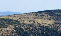 Soucasnost_01