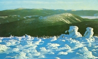 Foto_031