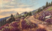 Obraz_020