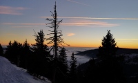 IMG_20220119_163133