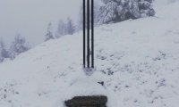 IMG_20221126_115009