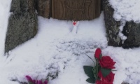 IMG_20221126_115021
