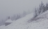 IMG_20221126_120707