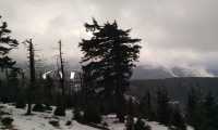 IMG-20220101-WA0004