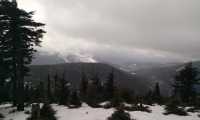 IMG-20220101-WA0006
